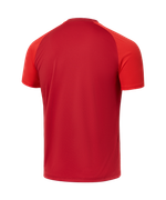 Футболка тренировочная JOGEL PREMIER PerFormDRY Training Tee, темно-красный/красный