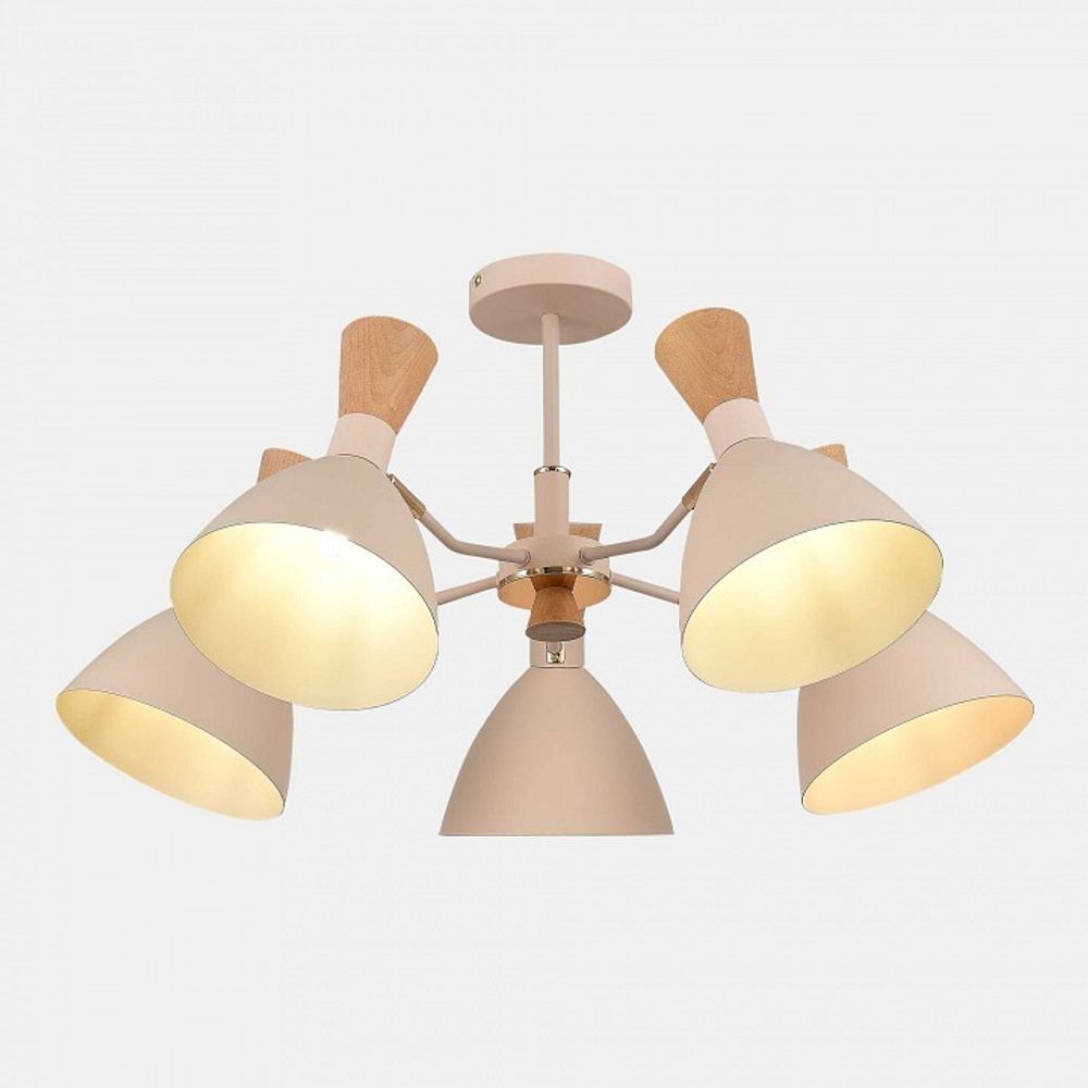 Люстра на штанге EVOLUCE VISTA SLE1256-502-05