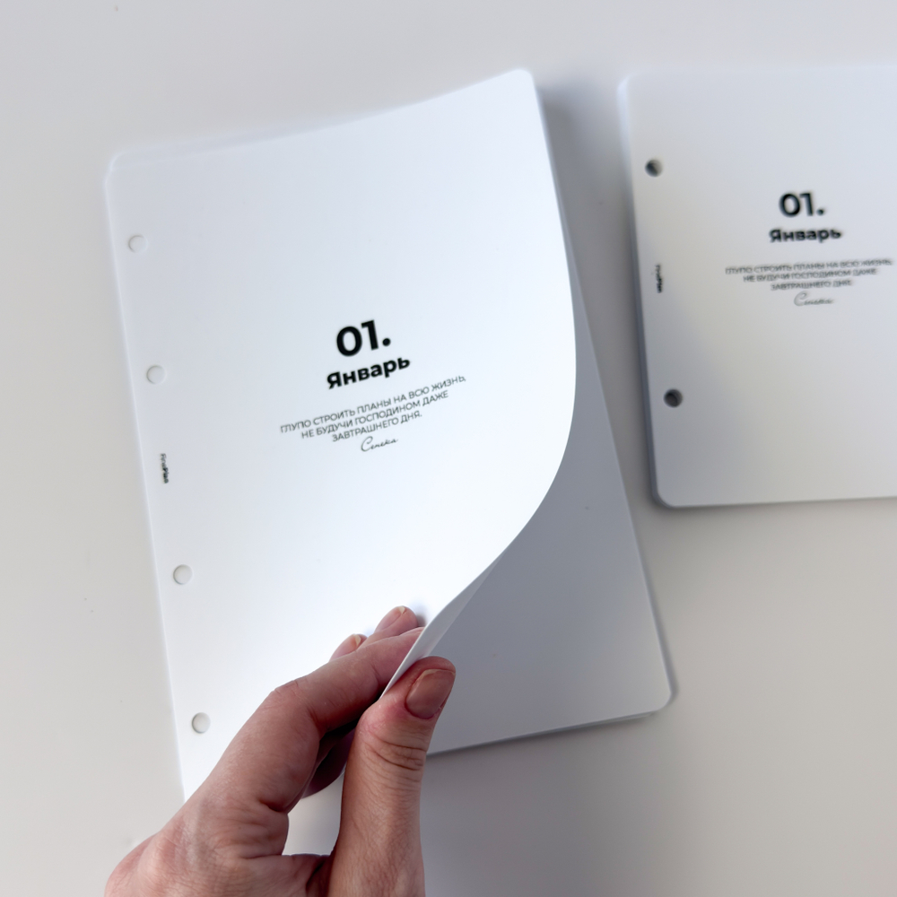 Ламинированные разделители по месяцам с цитатами (4/2 кольца)