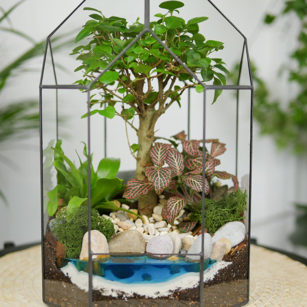 Готовый флорариум бонсай Лигуструм Бонсариум с озером