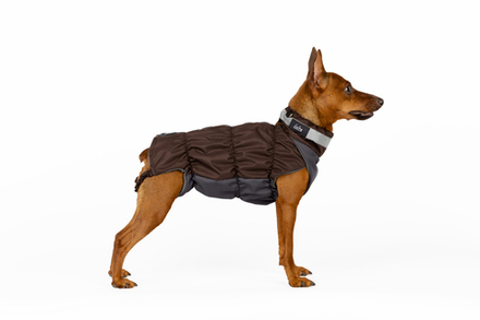 жилет для собак "КРОКОДИЛ " демисезон (МАЛЬЧИК)