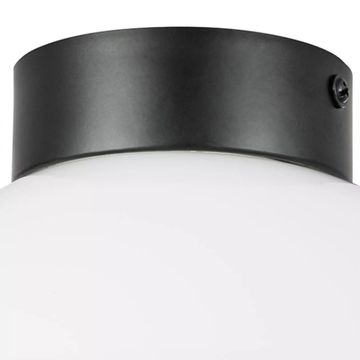 Потолочный светильник 812117 черный матовый Globo Lightstar