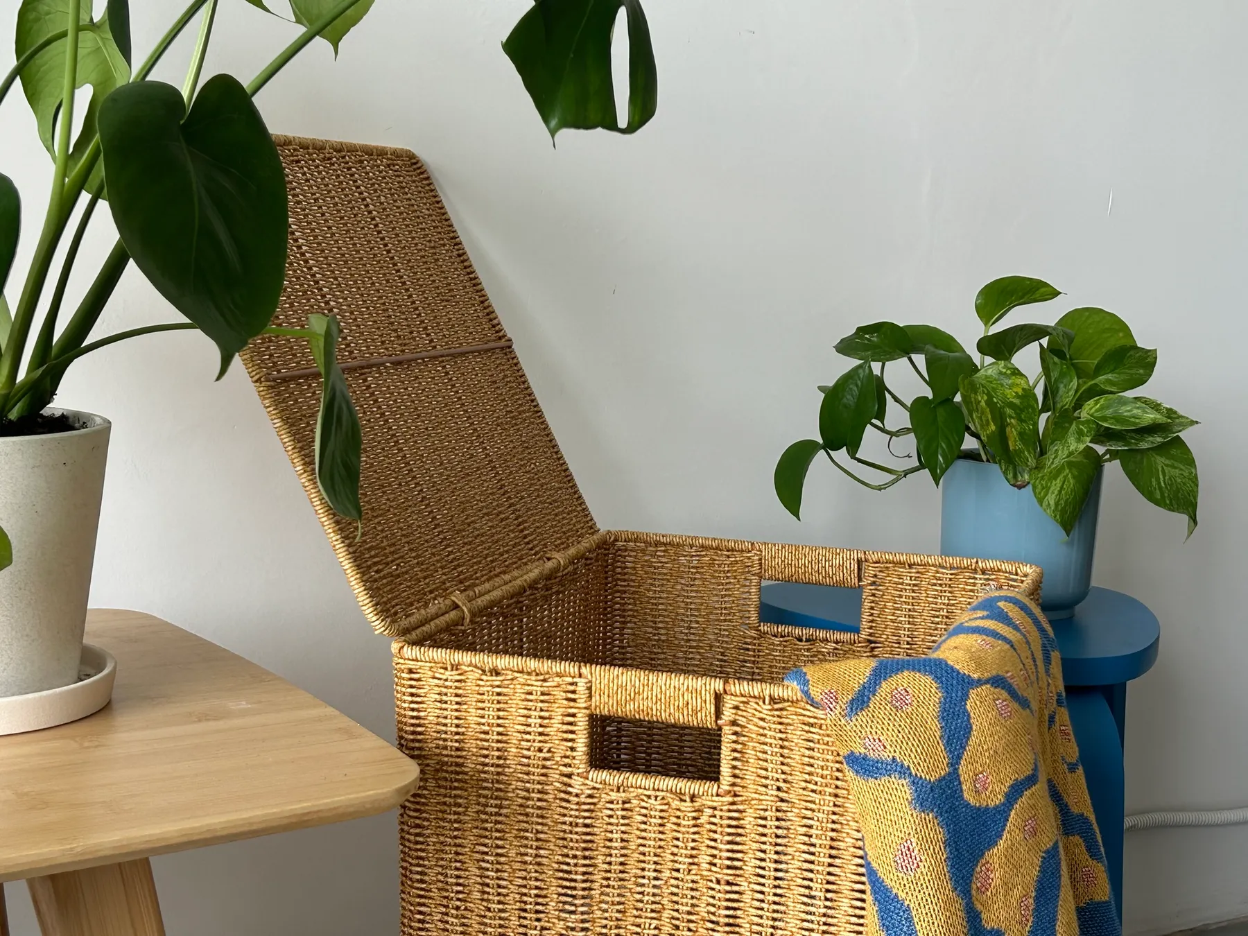 Gallery Item