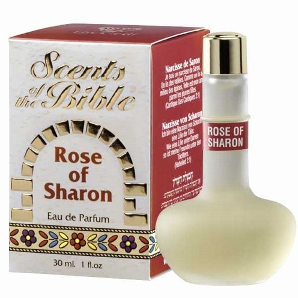 Ein Gedi Rose of Sharon
