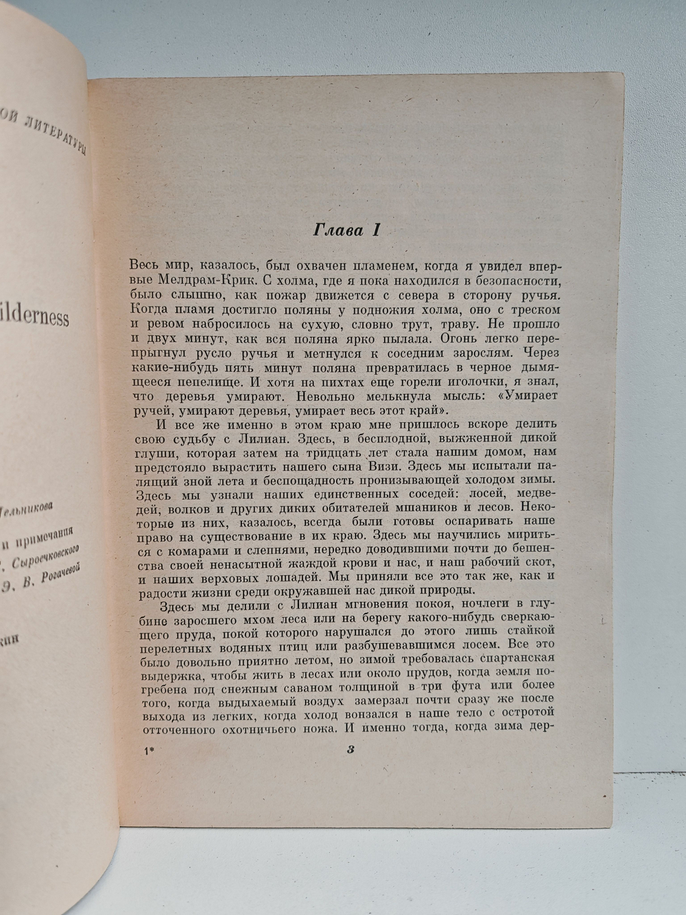 Трое против дебрей