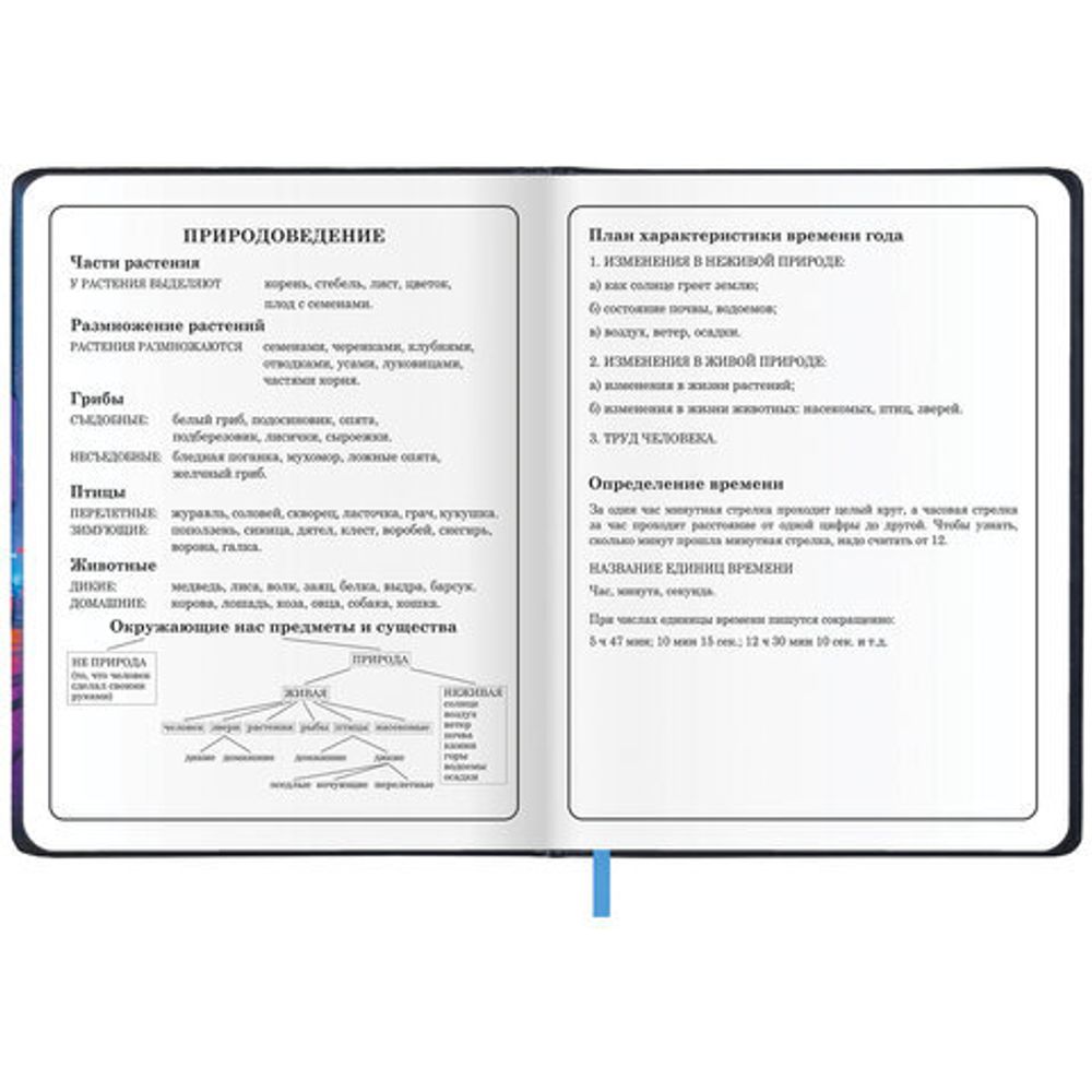 Дневник 1-4 класс 48 л., кожзам (твердая с поролоном), печать, аппликация, ЮНЛАНДИЯ, "Гонки", 107223