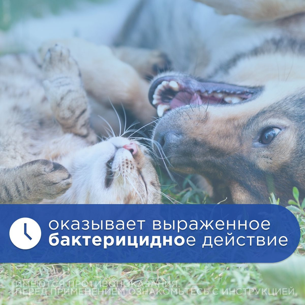 Капли глазные для лечения болезней глаз АВЗ Ирис для собак и кошек, 10 мл
