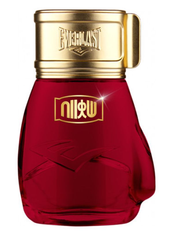 Everlast Choice Of Champions Street Fighter Hadouken