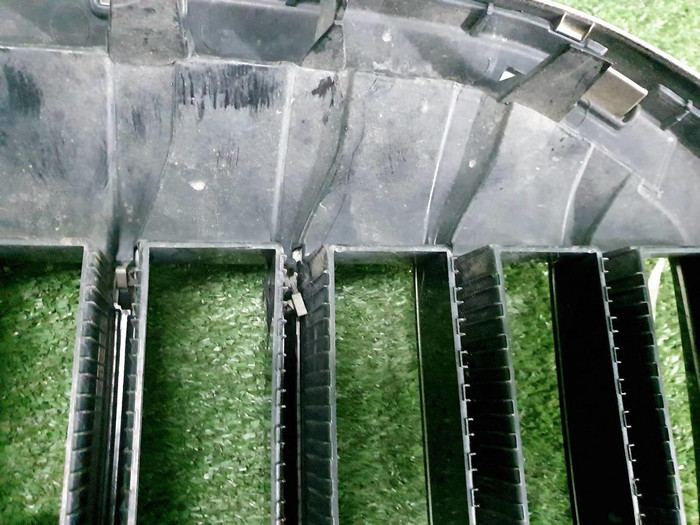 Решетка радиатора BMW X7 G07 (2019-2022)