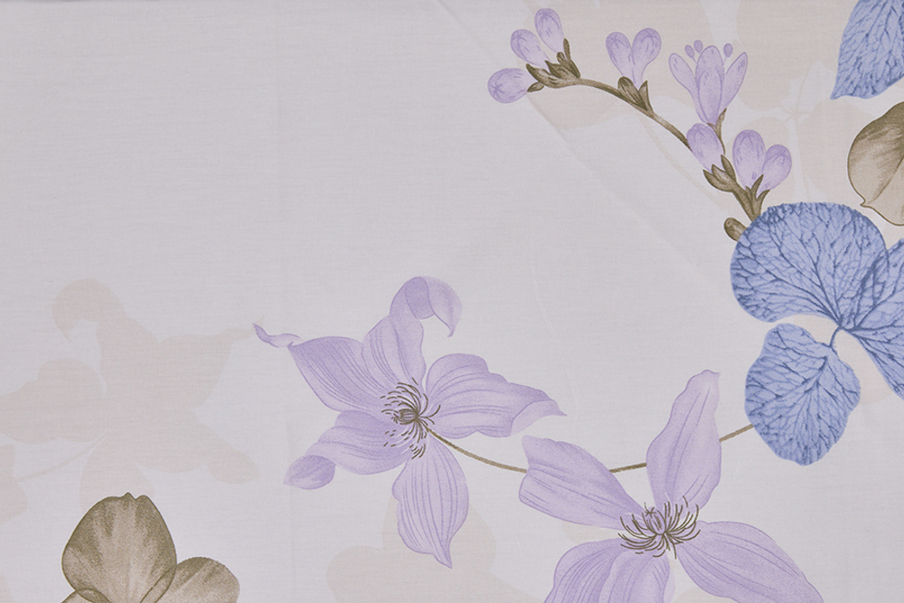 Постельное белье СайлиД B-504 сатин