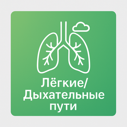 Легкие/Дыхательные пути