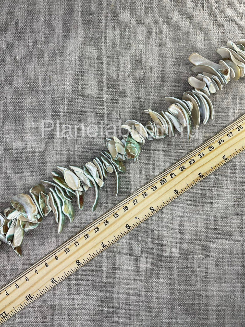 Перламутр (ракушка) 1695