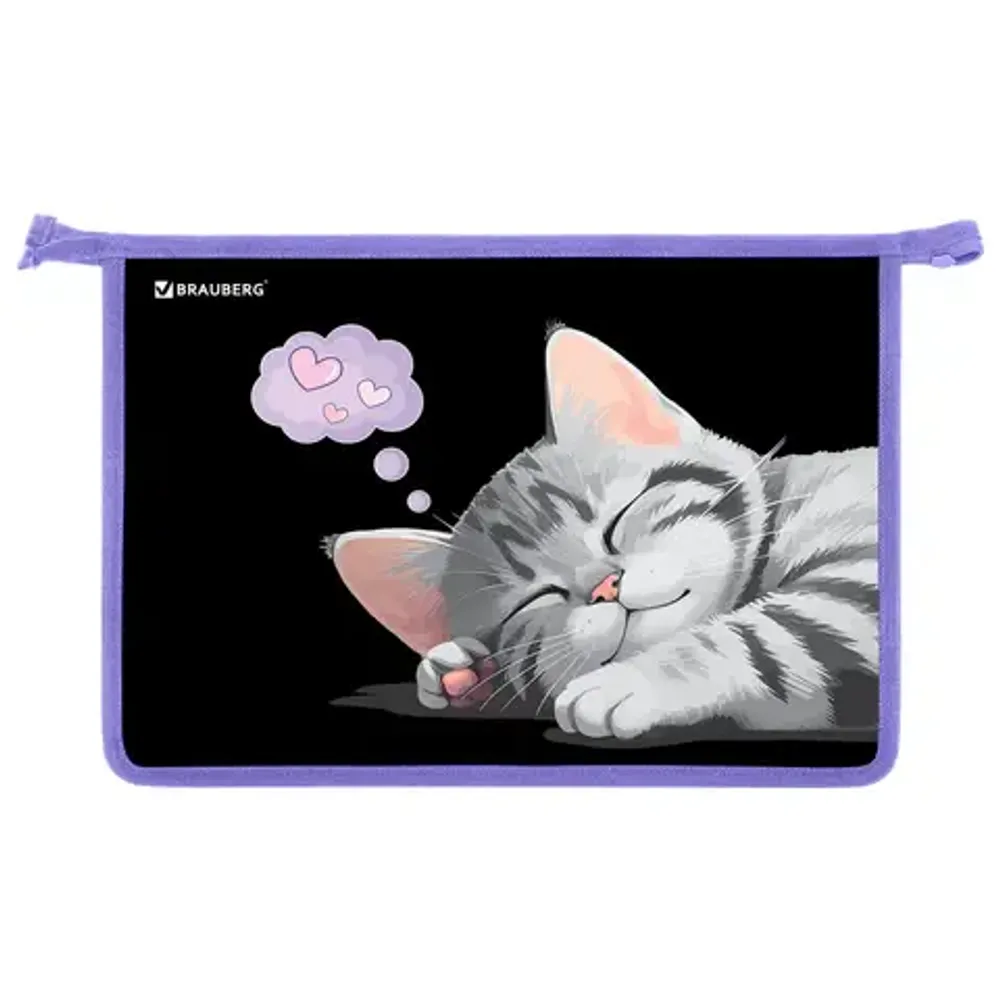 Папка для труда 2 отделения А4 на молнии, рисунок на пластике Brauberg Sleeping kitten