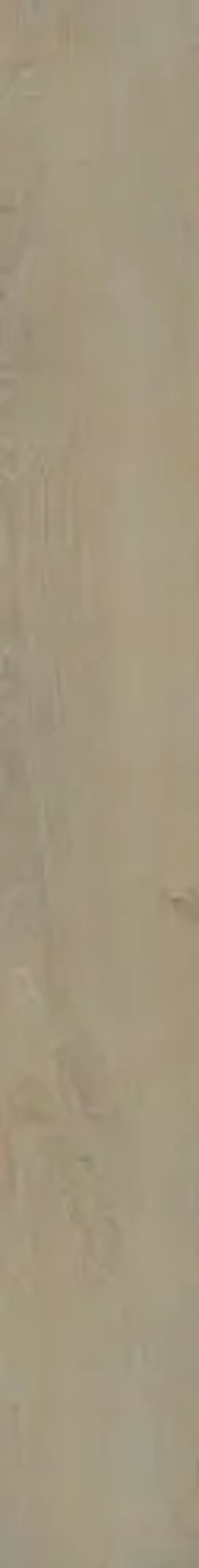 WONDEFUL LIFE PEPPER (ВАНДЕФУЛ ЛАЙФ ПЕППЕР) 1600*200 керамогранит, натуральный