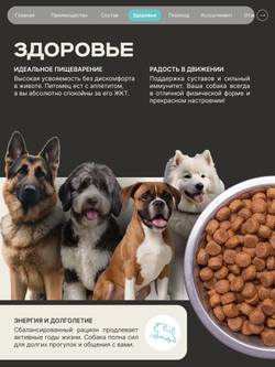 Корм для взрослых собак породы Леонбергер, с кроликом, 3 кг, QUATTRO