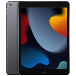 Apple iPad 2021 Wi-Fi 10.2" 256Gb Серый космос