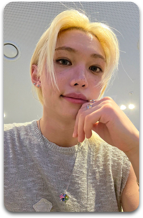 Карта / STRAY KIDS #3966