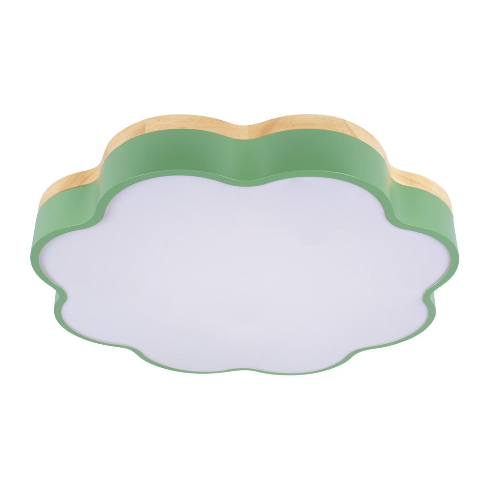 Потолочный светодиодный светильник Loft It Axel 10225/36 Green