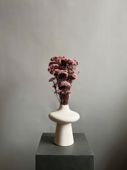 Озотамнус стабилизированный нежно-розовый