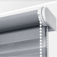 Рулонные шторы "День-Ночь Люкс"