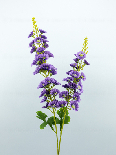 Дельфиниум Ванесса фиолетовый