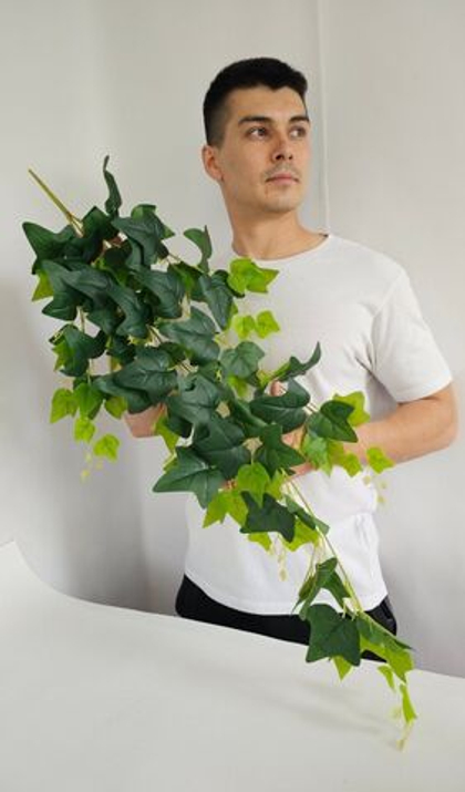 Плющ Тайс зеленый / Арт 4227