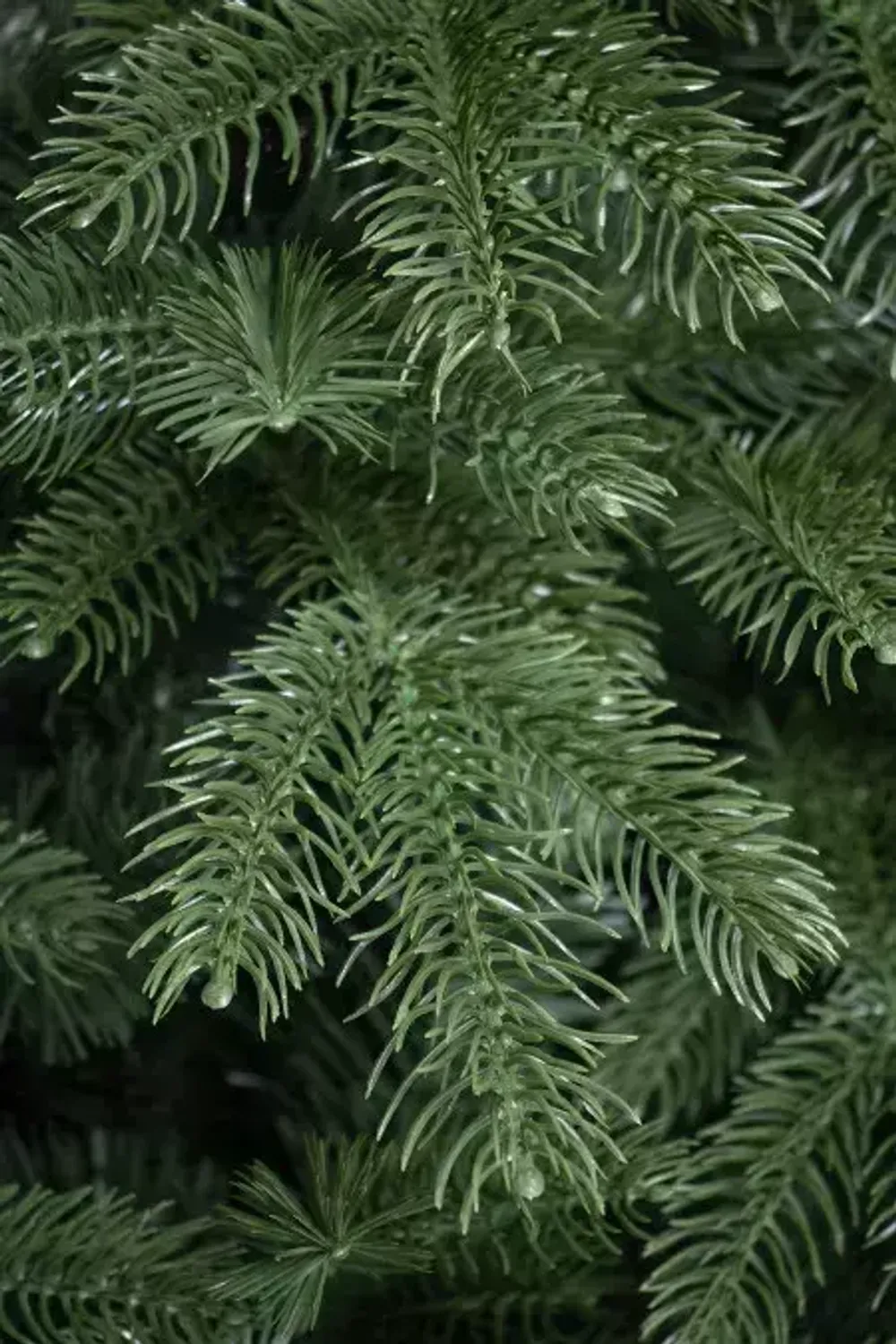 Ель искусственная «Марьевская» (Литая+пвх) 270 см / 2,7 м