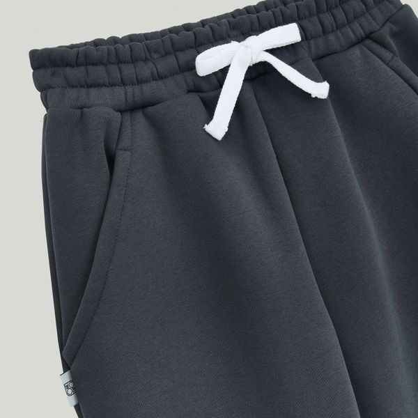 Брюки Nine Iron серые - фото 2