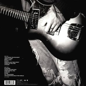 Nirvana / Nirvana (LP)