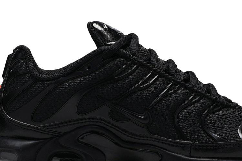 Кроссовки Nike Air Max Plus