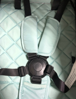 Коляска детская прогулочная Farfello Easy Go Comfort мятный Артикул: EG-11