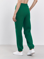 Брюки женские с начесом (зеленый)