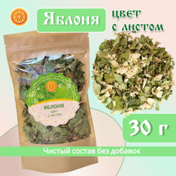 Яблоня цвет / цвет с листом.