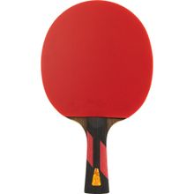 Ракетка для настольного тенниса DOUBLE FISH 7A+C, ITTF Approved, + 2 мяча