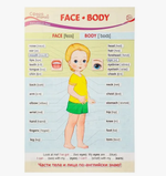 Плакат А3 Face. Body (Лицо. Тело)