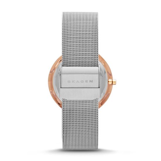 Наручные часы Skagen 456LRS