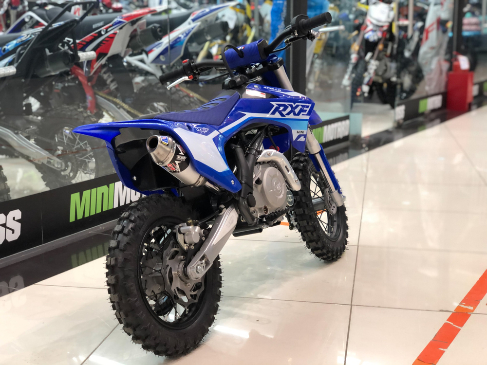 Питбайк Apollo RXF Mini 50E auto 10/10 2021 (Синий)