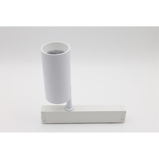 Светильник трековый APL.0205.10.20