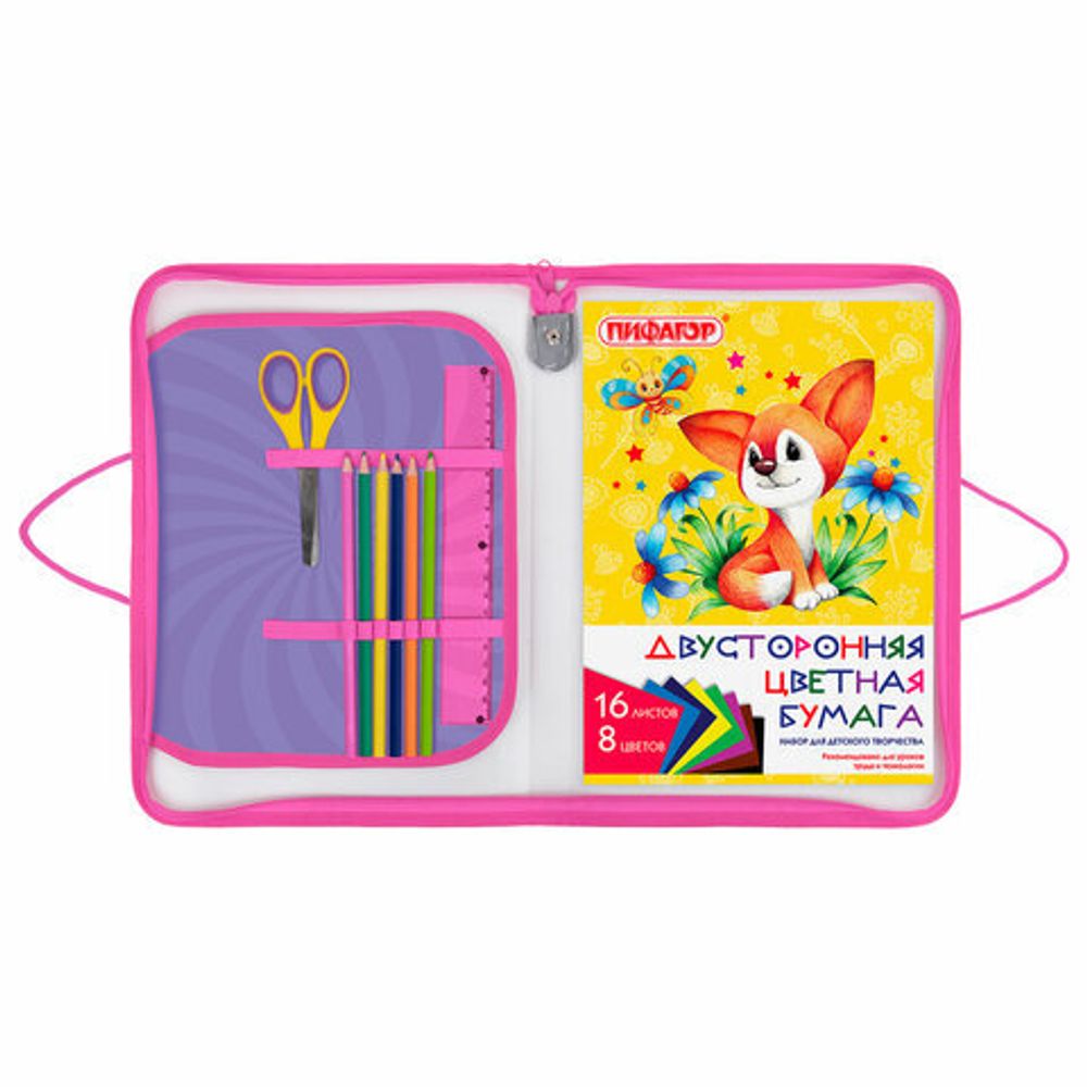 Папка для труда на молнии с ручками ПИФАГОР А4, 1 отделение, пластик, органайзер, "Anime eyes", 272228