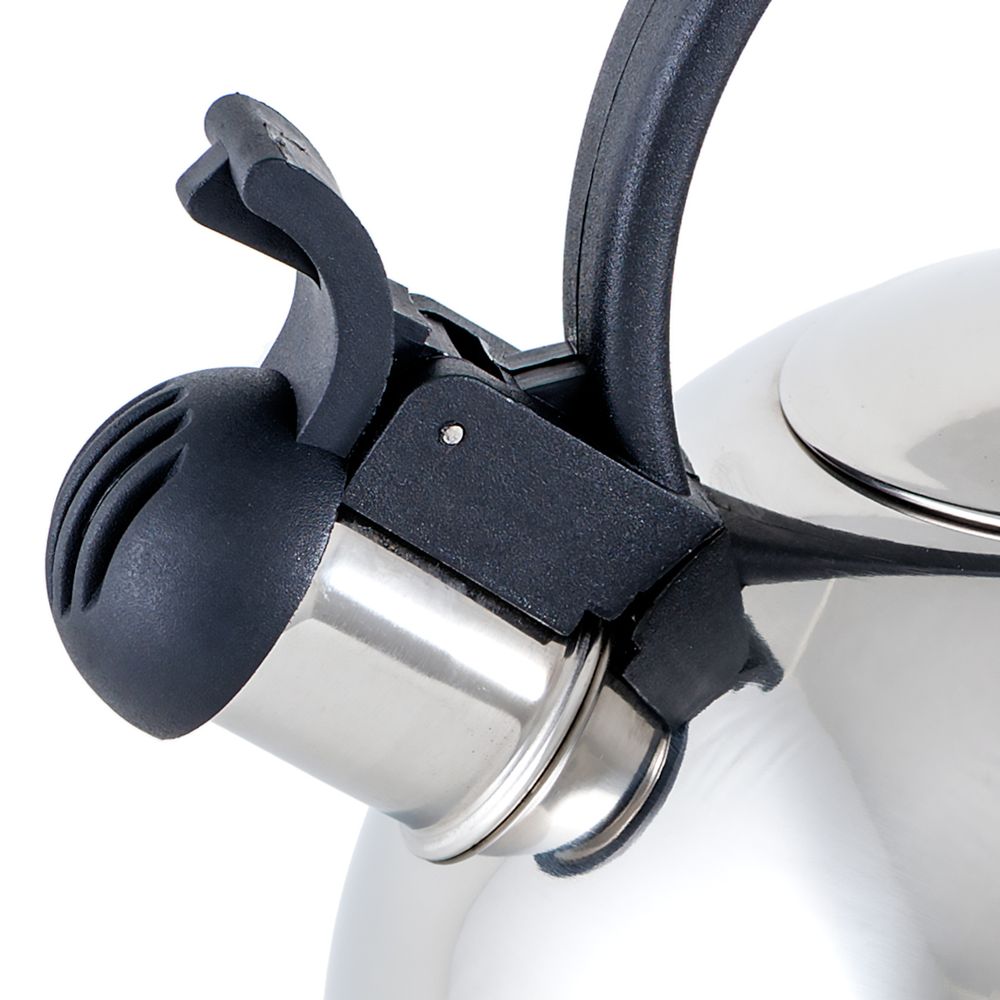 Чайник для плиты Gipfel Estella 8598 2,5 л