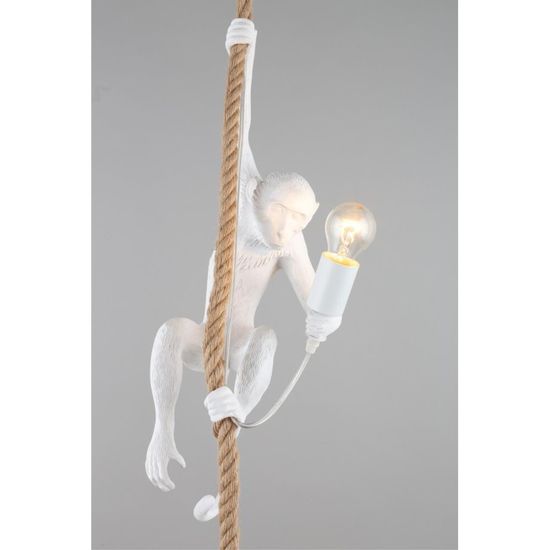 Светильник подвесной APL.309.06.01