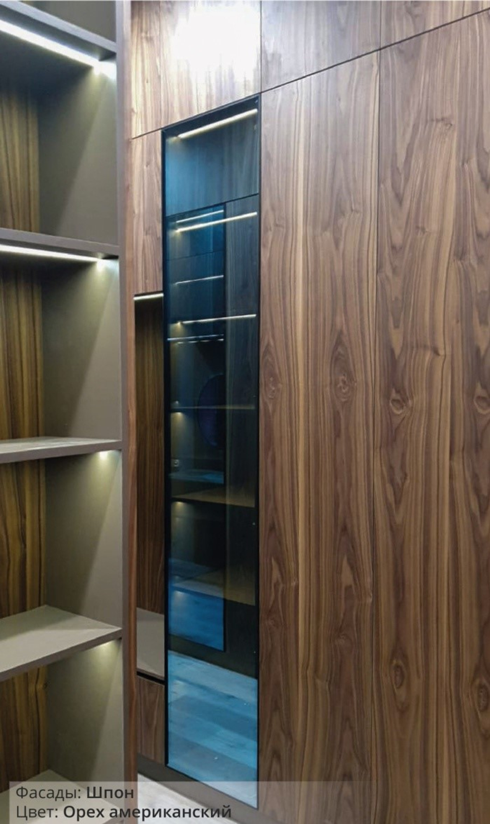 Орех Американский