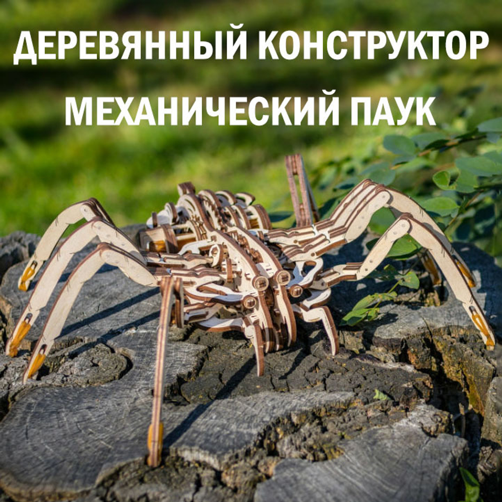 Сборная деревянная модель «Механический паук (Spider)» (EWA)