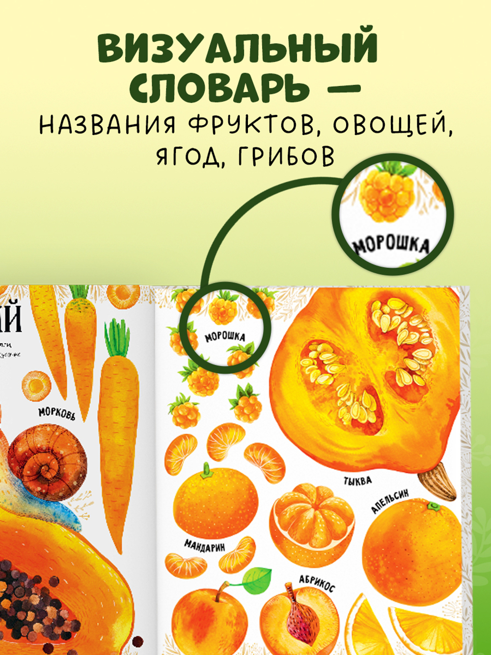 Приключения улитки Элли в мире фруктов и овощей