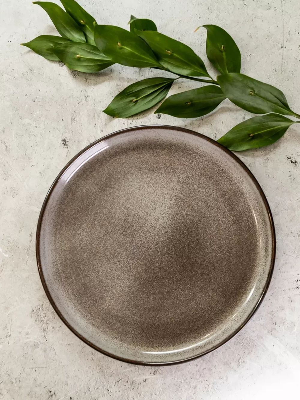 Тарелка с бортиками, Серая, диаметр 25,3 см - 6 шт.