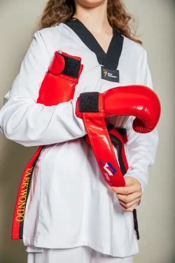 Перчатки боксерские ProfSport