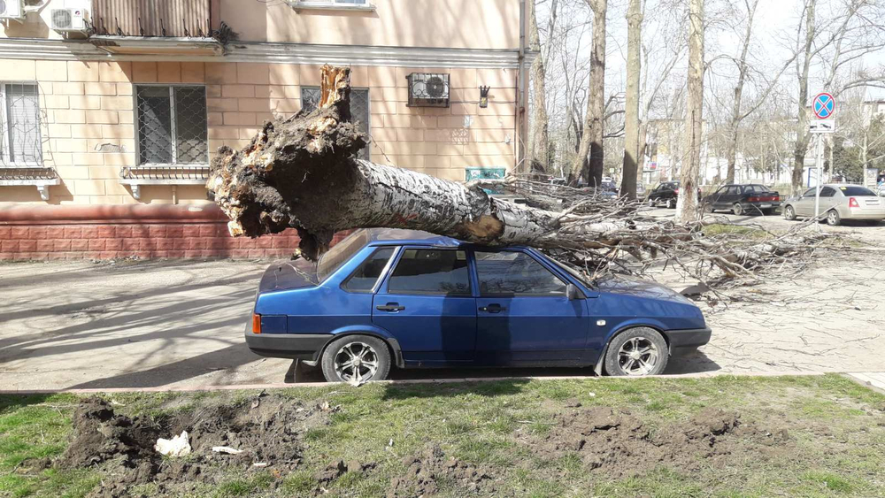 Экспертиза стоимости восстановительного ремонта после стихийных бедствий, наводнений, пожара