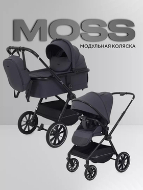 Коляска модульная Rant Moss 2025 Graphite