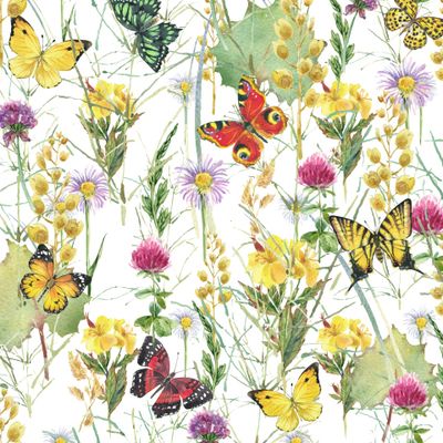 летнее поле цветов и бабочки