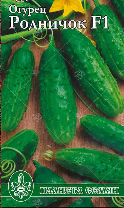 Огурец Родничок F1